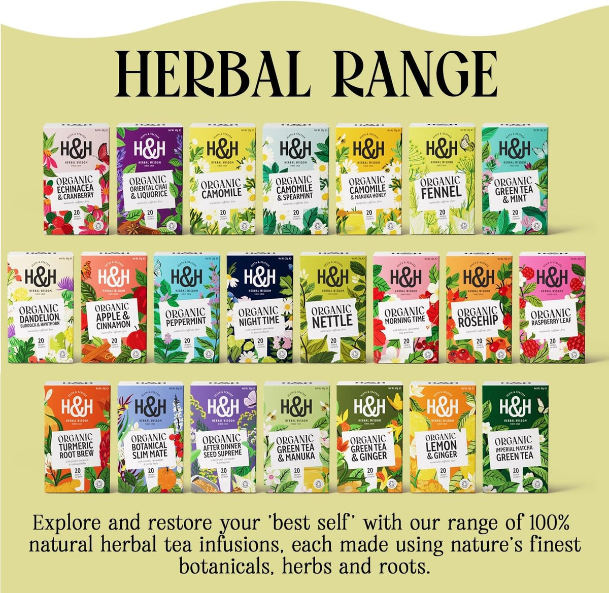 Organic Nettle Tea Bags - 3 Pack Gift Box