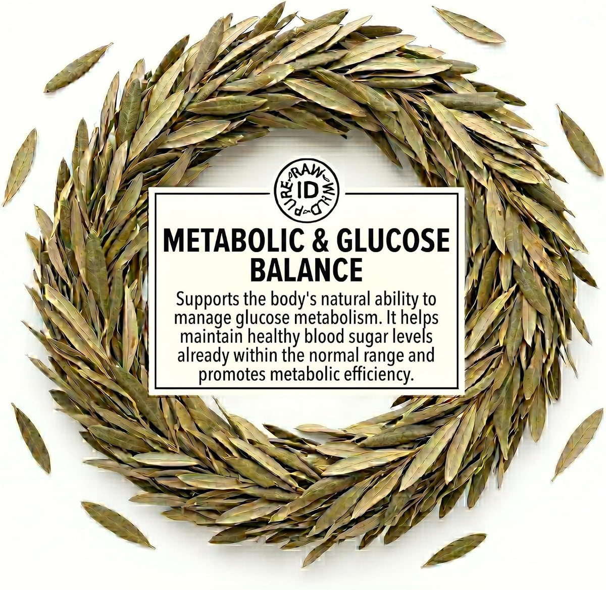 Olive Leaves 50G | Heart, Immune & Metabolic Wellness Herbal Tea