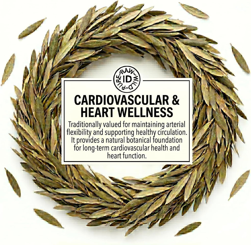 Olive Leaves 50G | Heart, Immune & Metabolic Wellness Herbal Tea