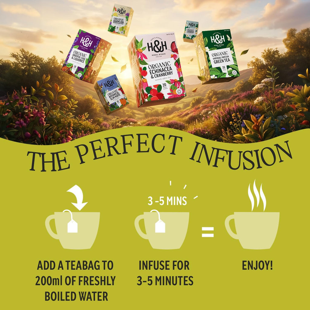Organic Nettle Tea Bags - 3 Pack Gift Box