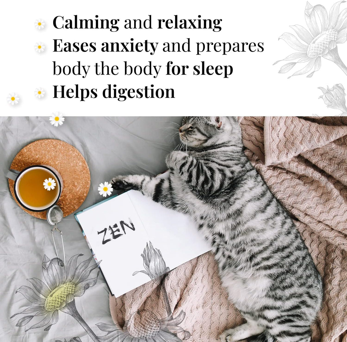 ORGANIC CHAMOMILE TEA Sourced in Europe, 100G | Camomile Tea Whole Flower, Digestion & Sleep Easy Tea | Camomile Flowers - Organic Wild Chamomile Flowers