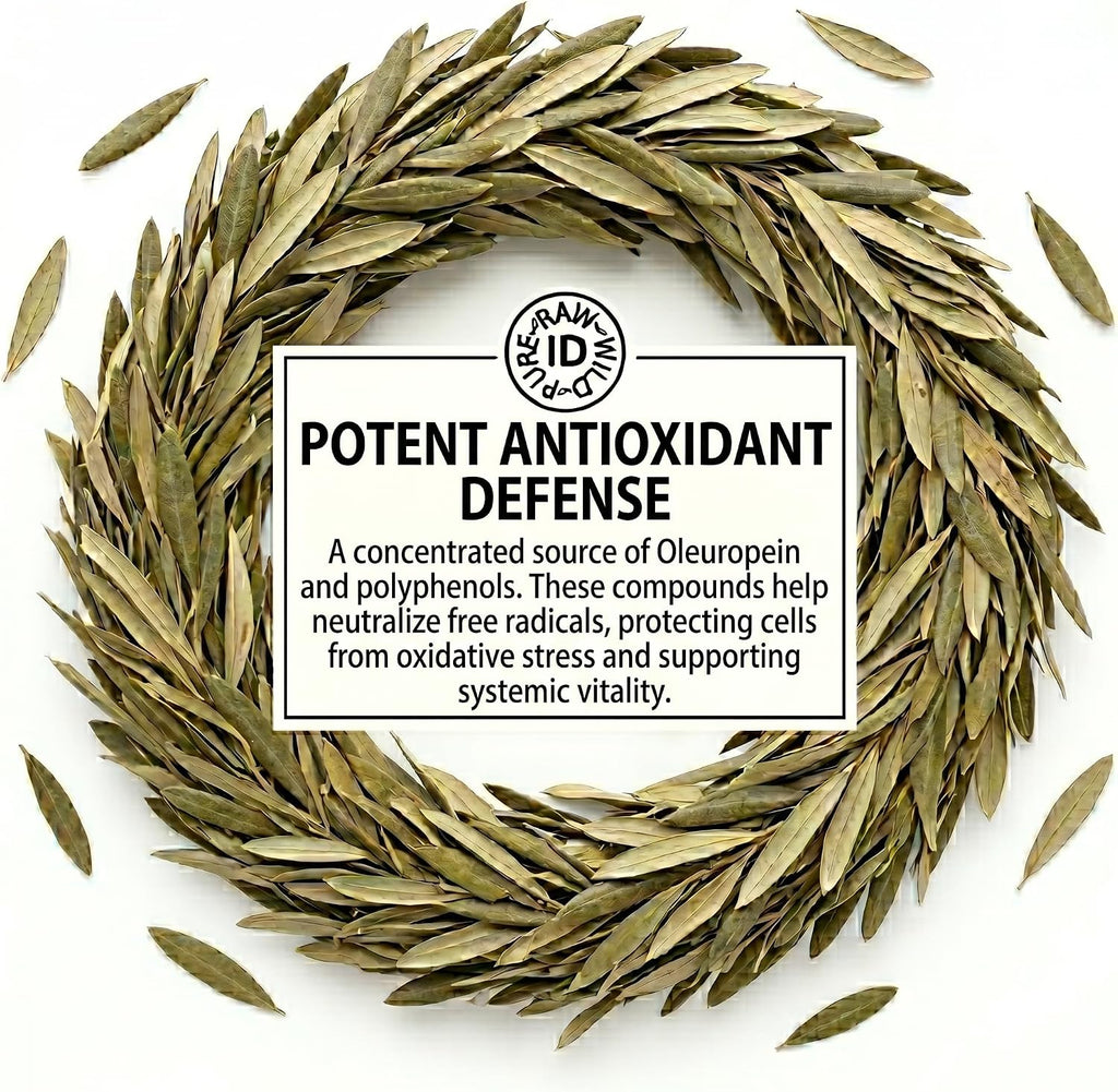 Olive Leaves 50G | Heart, Immune & Metabolic Wellness Herbal Tea