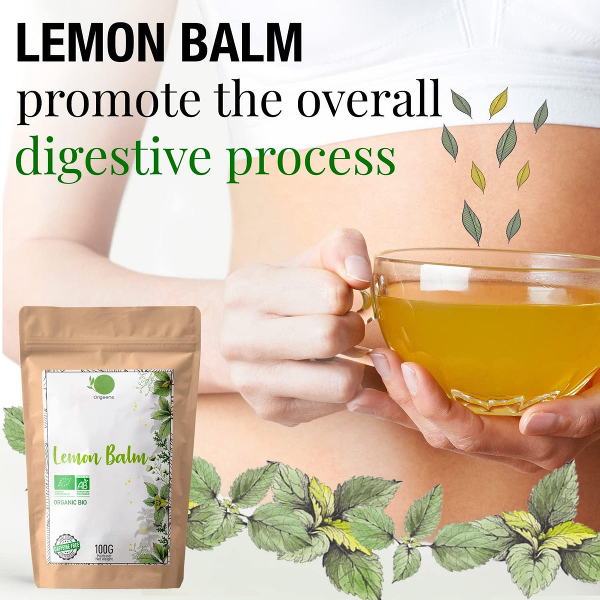 ORGANIC LEMON BALM TEA BIO 100Gr | Herbal Tea for Digestion and Relaxation | Organic Melissa Leaves - Lemon Balm Tea Loose