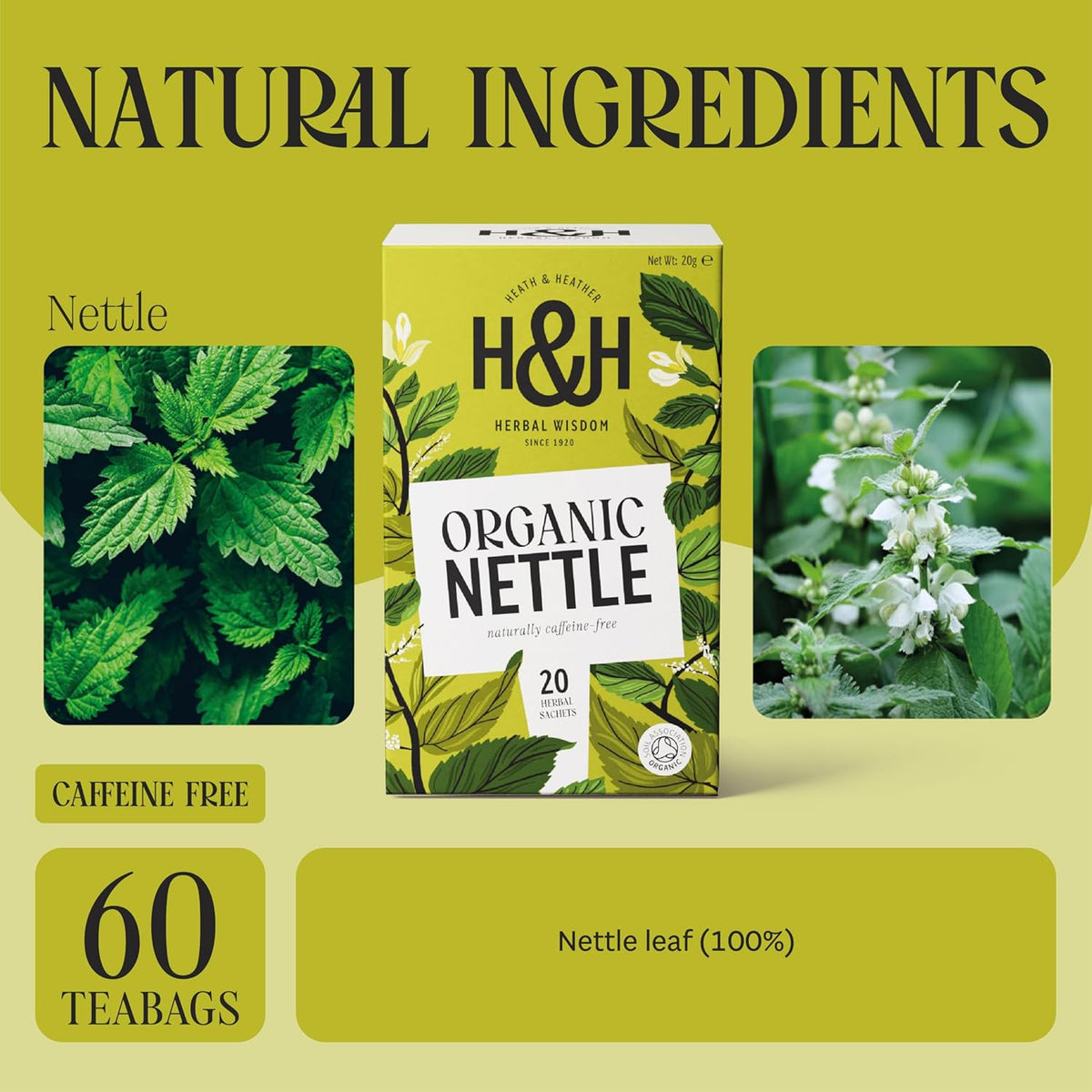 Organic Nettle Tea Bags - 3 Pack Gift Box