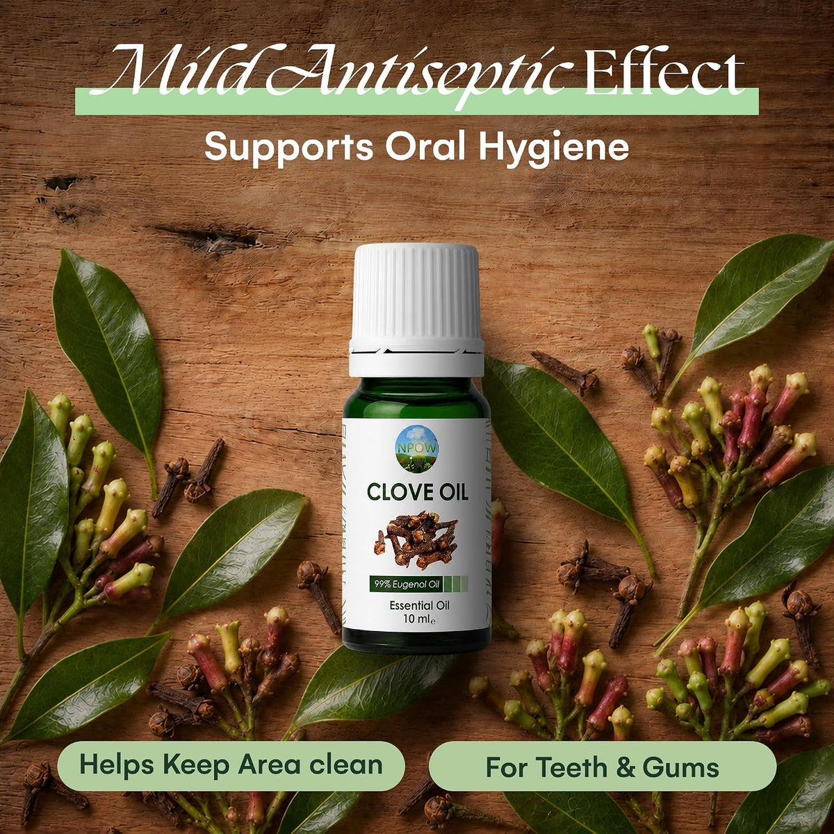 Clove Oil for Toothache Pain Relief for Adult – Oil of Cloves for Toothache Natural Dental Solution, Clove Bud Oils, Cloves Extract for Oral Care, Tooth Pain Relief and Dental Health - 10Ml