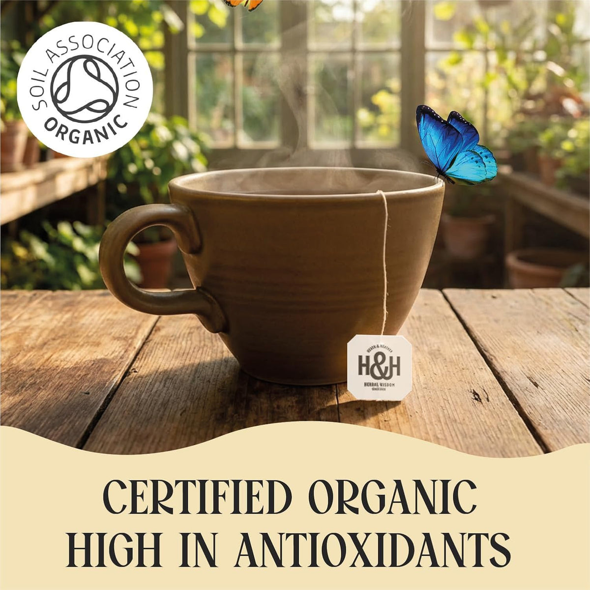• Organic Dandelion, Burdock & Hawthorn Tea • 6 X 20 Boxes
