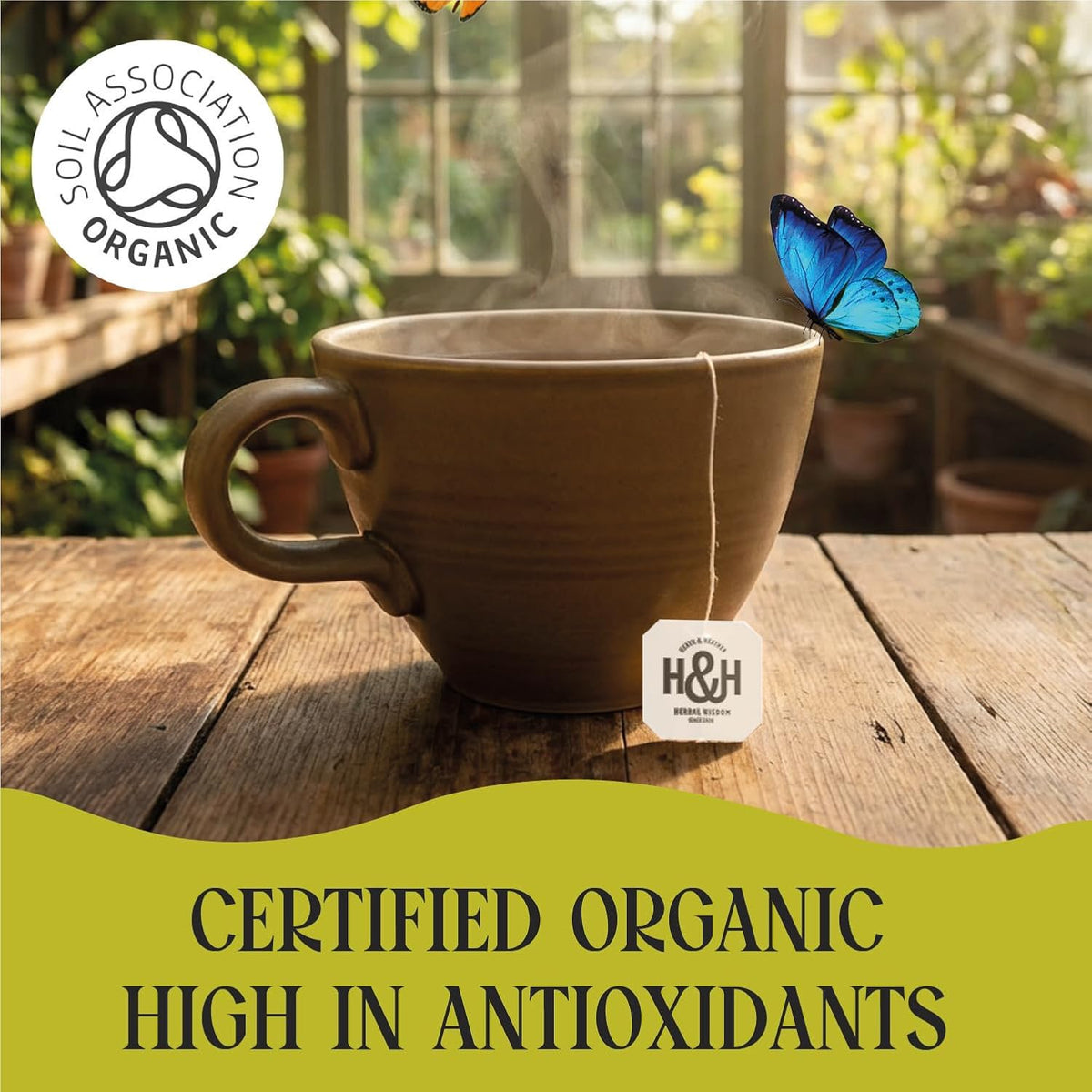 Organic Nettle Tea Bags - 3 Pack Gift Box