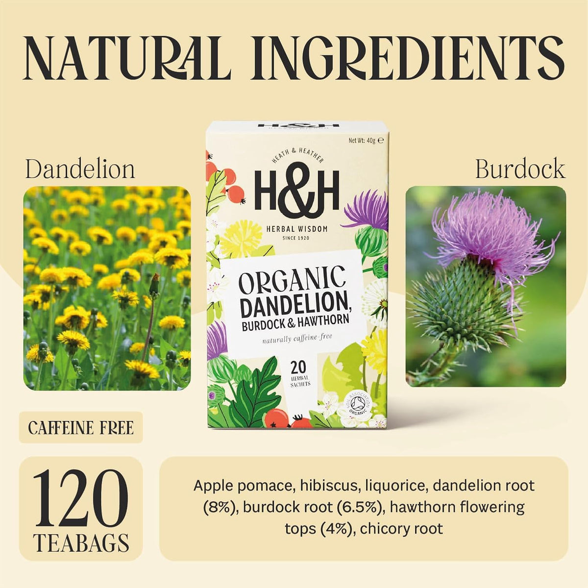 • Organic Dandelion, Burdock & Hawthorn Tea • 6 X 20 Boxes